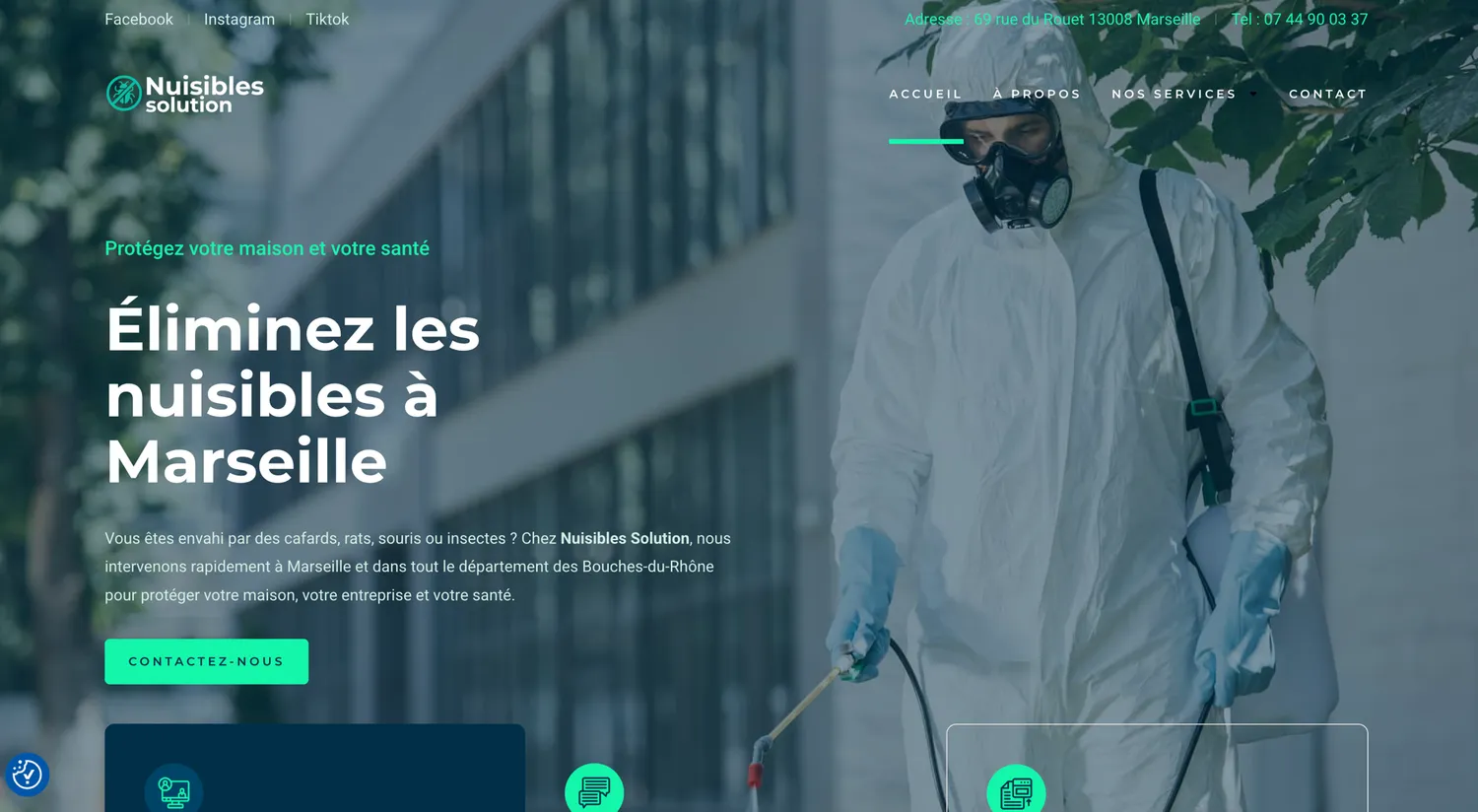 Aperçu du site Nuisibles Solution